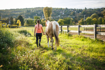 Woman rider leading her horse on pasture after equestrian training. Animal farm at countryside