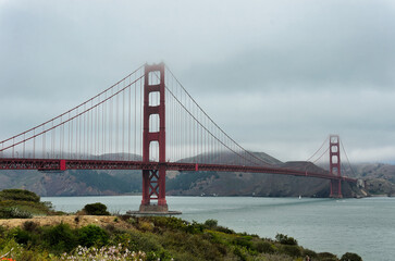 Golden Gate Bridge in fog with coastal wildflowers