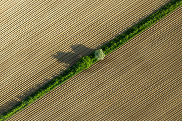 Agrarlandschaft aus der Vogelperspektive