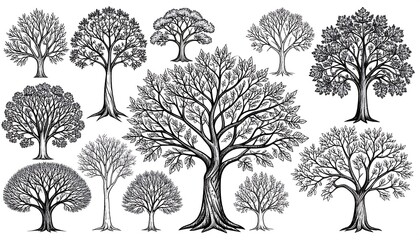 A collection of stylized trees with intricate line work, rendered in a monochrome palette on a clean white backdrop