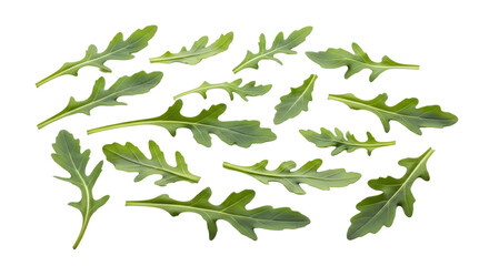 Torn arugula leaves are spread casually on a surface