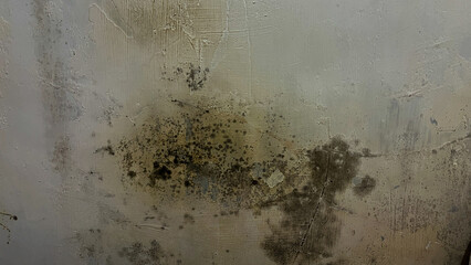 Damp and moldy wall texture background