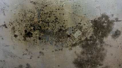 Damp and moldy wall texture background