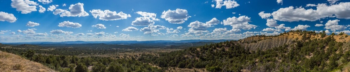 desert trees panorama with dramatic clouds