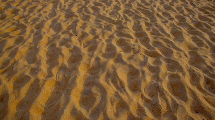 Waves painting poetry on the shore.