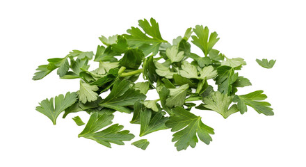 Obraz premium Freshly Chopped Parsley Vibrant Green Herb for Culinary Delights and Flavor Enhancement