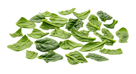 A vibrant collection of fresh, green spinach leaves artfully scattered on a clean white background, showcasing their natural texture and healthy appeal