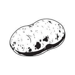 Potato Bulb Illustration – Black and White Stylized Vegetable Drawing