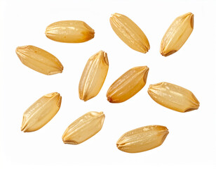 Obraz premium Whole Grain of Brown Rice Isolated on White Background
