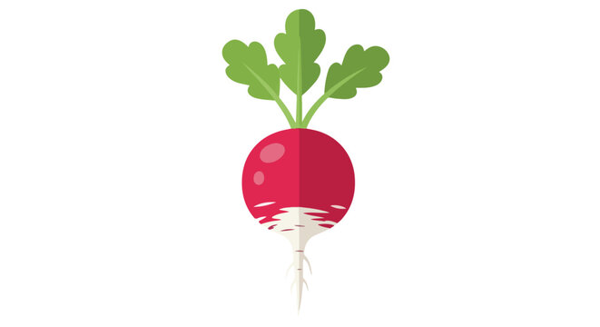 Stylized radish illustration with vibrant color palette and simple design depicting freshness and natural healthy food concept ideal for health blogs