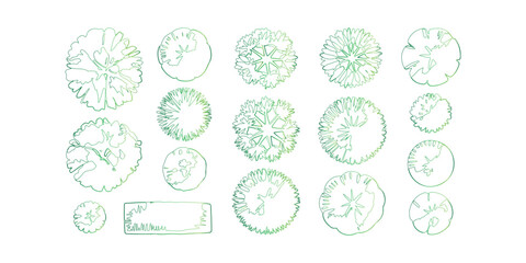 Botanical Greenery Overhead Plan Collection Artistic Tree Top View Vector Illustration Set
