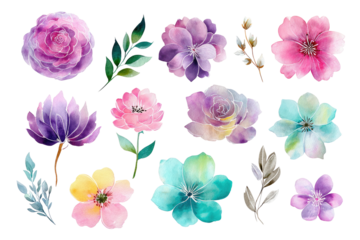 Watercolor botanical art featuring colorful flowers and leaves on a contrasting black background