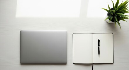Minimalist Workspace Setup With Laptop Notebook and Plant