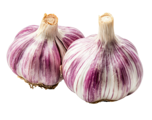 Two purple-striped garlic bulbs against a black background