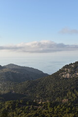 Serene landscape of the Serra de Tramuntana in Mallorca, showcasing green forested mountains, rugged peaks, and the calm Mediterranean Sea under a soft blue sky
