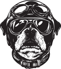 dog rider