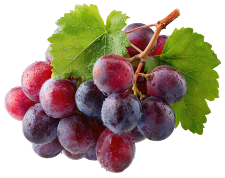 A cluster of juicy, plump, purple grapes with leaves, freshly washed - Powered by Adobe