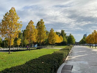 autumn in the park