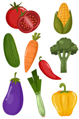Illustrations of various types of vegetables and cooking ingredients, with colorful and flat styles. 