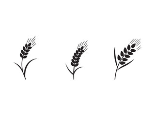 Three Black Wheat Stalks Vector Illustration Simple Agricultural Design Harvest Symbol Grain Icon Food Ingredient Natural Element Healthy Eating Plant Based