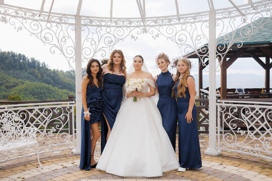 Bridal party poses together in elegant outdoor setting overlooking scenic landscape