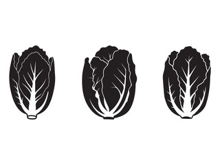 Three monochrome stylized napa cabbage vector illustration for food related design or healthy eating promotions ideal for minimalist graphic projects