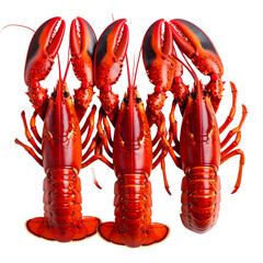 Three vividly red cooked lobsters, posed upright with claws prominent against black