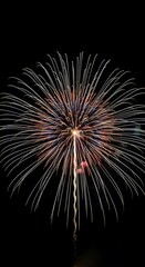 A burst of light - Fireworks illuminating the night sky.