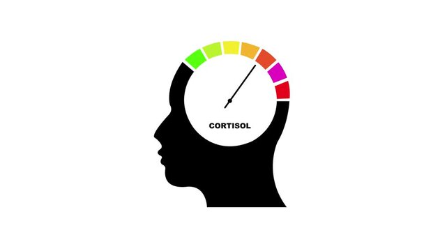 Cortisol secretion. Gradient scale. Hormone level measuring device as human head. cortisol meter, mental health gauge. High stress level dial scale motion graphics animation.