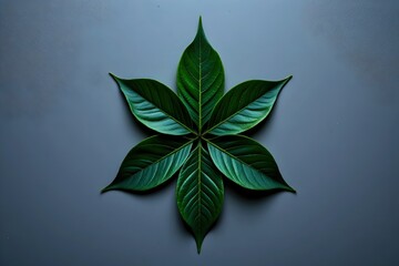 Overlapping Green Leaves in Symmetrical Arrangement on Dark Background