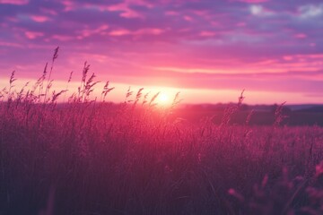 Stunning Pink and Purple Sunset Over a Tranquil Field Perfect for Landscape Artwork and Backgrounds