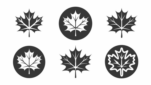 Illustration of six maple leaf icons in black and white with varying styles and circular backgrounds design | editable eps vectors silhouette
