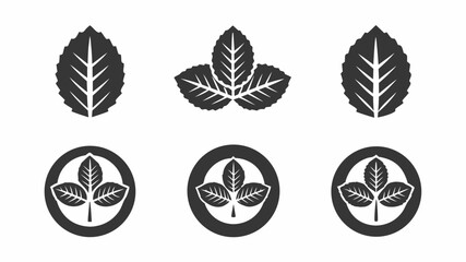 Collection of leaf designs featuring single leaves and clusters within circular emblems in monochrome style | editable eps vectors silhouette