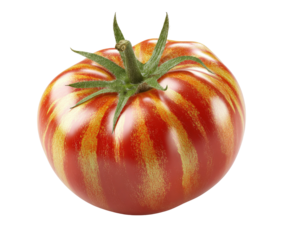 A vibrant, colorful tomato with red and yellow stripes, green stem, against a black backdrop