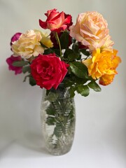 Colorful garden roses in a vase