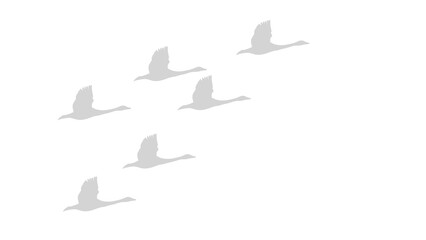 Flock of Flying Swans Silhouette in V Formation Vector on Transparent Background Representing Migration and Freedom