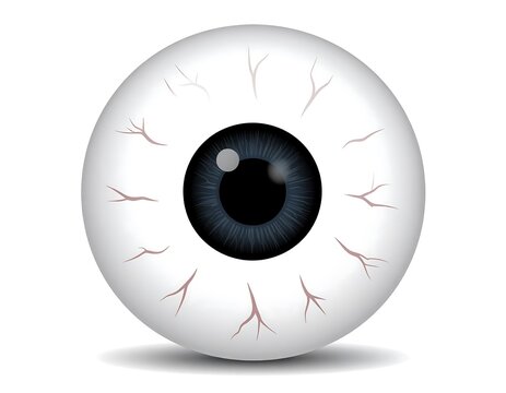 A detailed illustration of a single human eyeball, featuring a dark blue iris and a white sclera with visible veins. The eye is centered on a white background