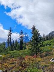 Snowy mountain peak between the clouds - Grand Teton