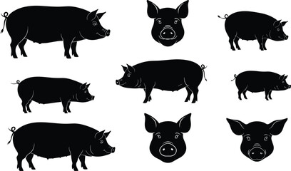 Pig silhouettes collection with farm animals, livestock vector artwork, domestic pig heads and body poses, agriculture concept, 