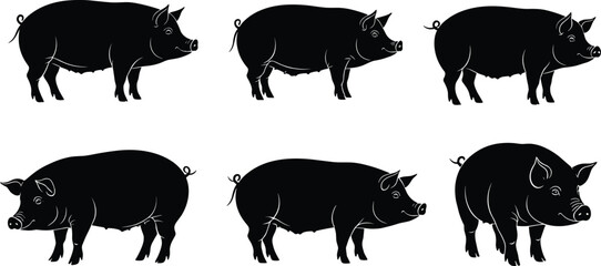 Pig silhouettes farm animals collection, livestock vector design, domestic pig illustration, agriculture concept, rural farming artwork, cad drawing flat vector illustration