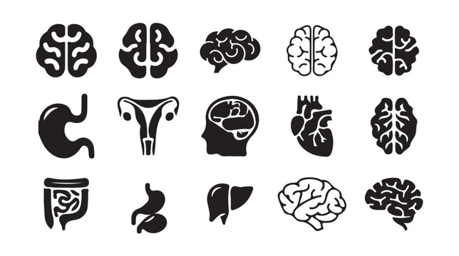 Brain Anatomy and Neuron Structure Icons for Medical and Science Design
