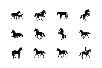Fototapeta premium Collection of silhouette horse poses and movements in black and white