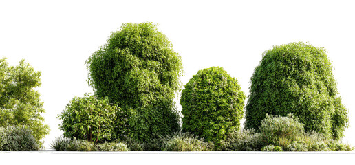 A vibrant image shows green shrubbery against a transparent background, various sizes and shapes