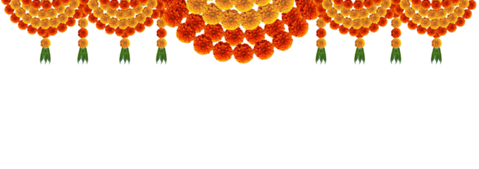 Marigold flowers decorative design element with mango leafs