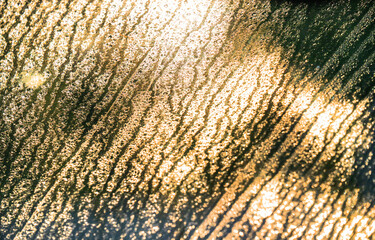 Nahaufnahme von Tau auf einer Fensterscheibe