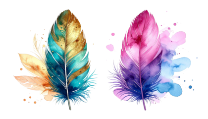  Artistic Multicolor Feather Bundle – Two Stylized Decorative Variations Isolated on Transparent Background
