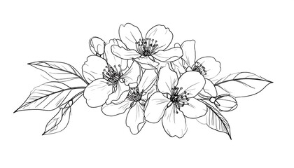 A delicate line art illustration featuring a cluster of blossoming flowers with detailed petals, buds, and leaves. The image is monochrome