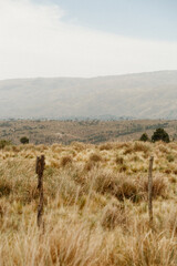 landscape in the mountains
