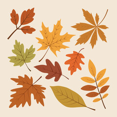Flat vector illustration of various fall foliage.