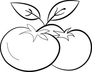 vector illustration of a Black and white Tamato